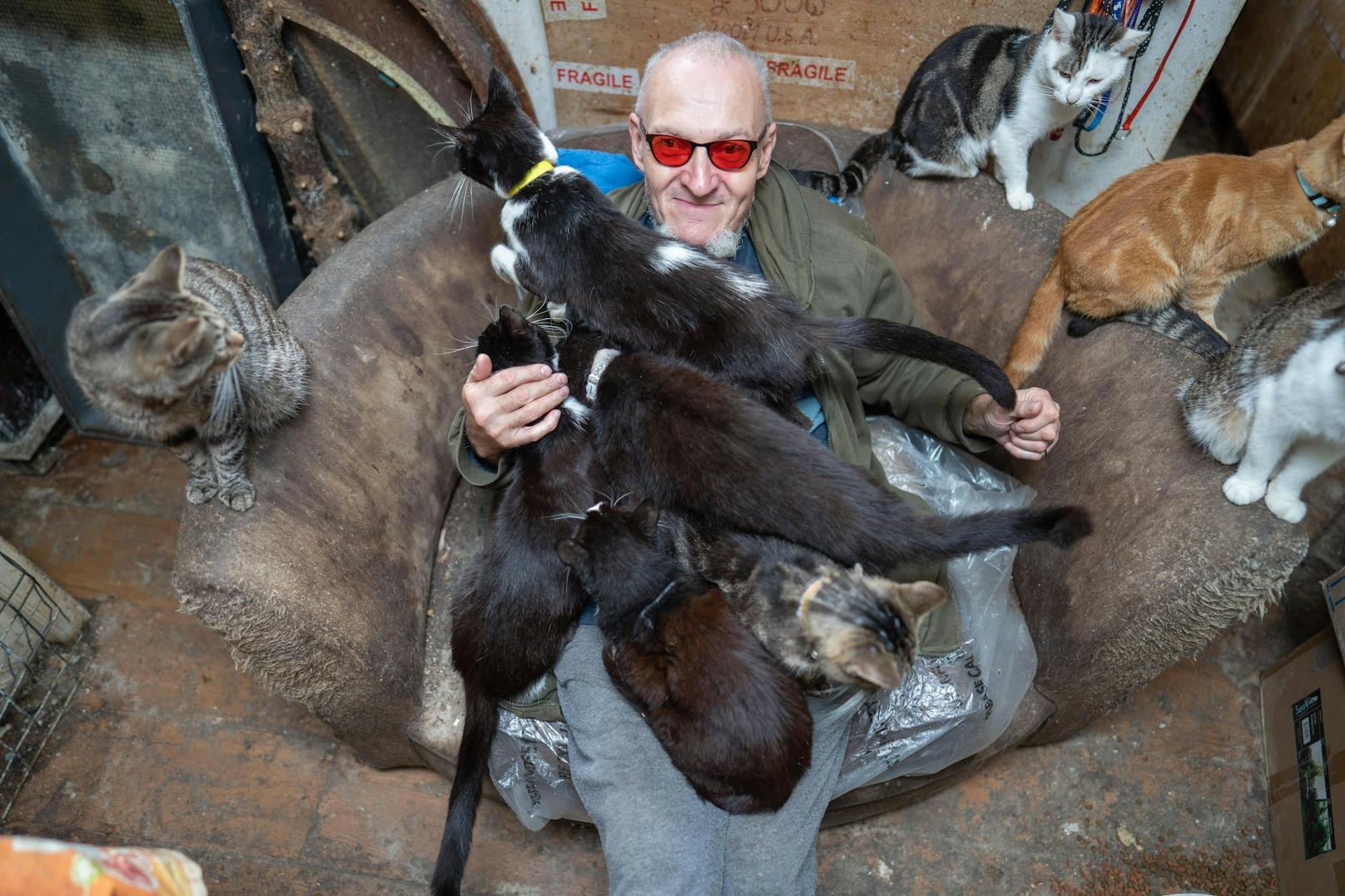 Der 56-jährige Ian "Catmondo" (wie er sich selbst nennt) lebt mit 70 Katzen im Dreck. 