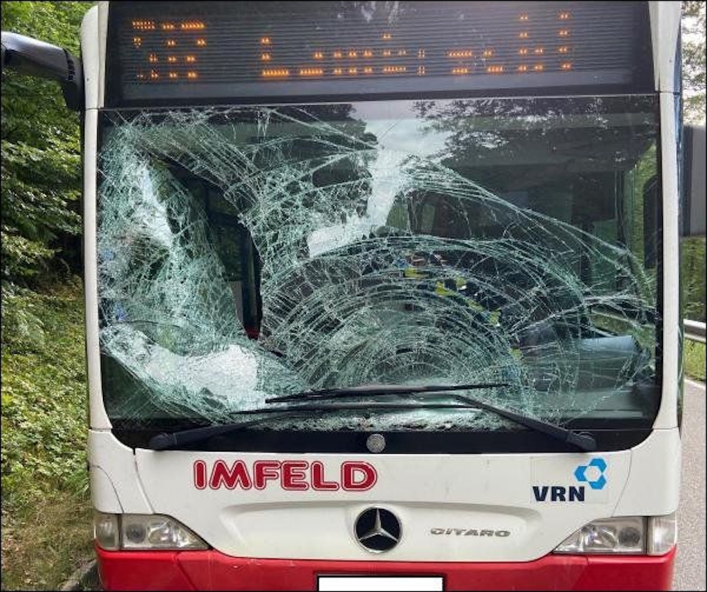 Der Bus hatte einen Sachschaden von mehreren tausend Euro - vom Tier fehlt jede Spur