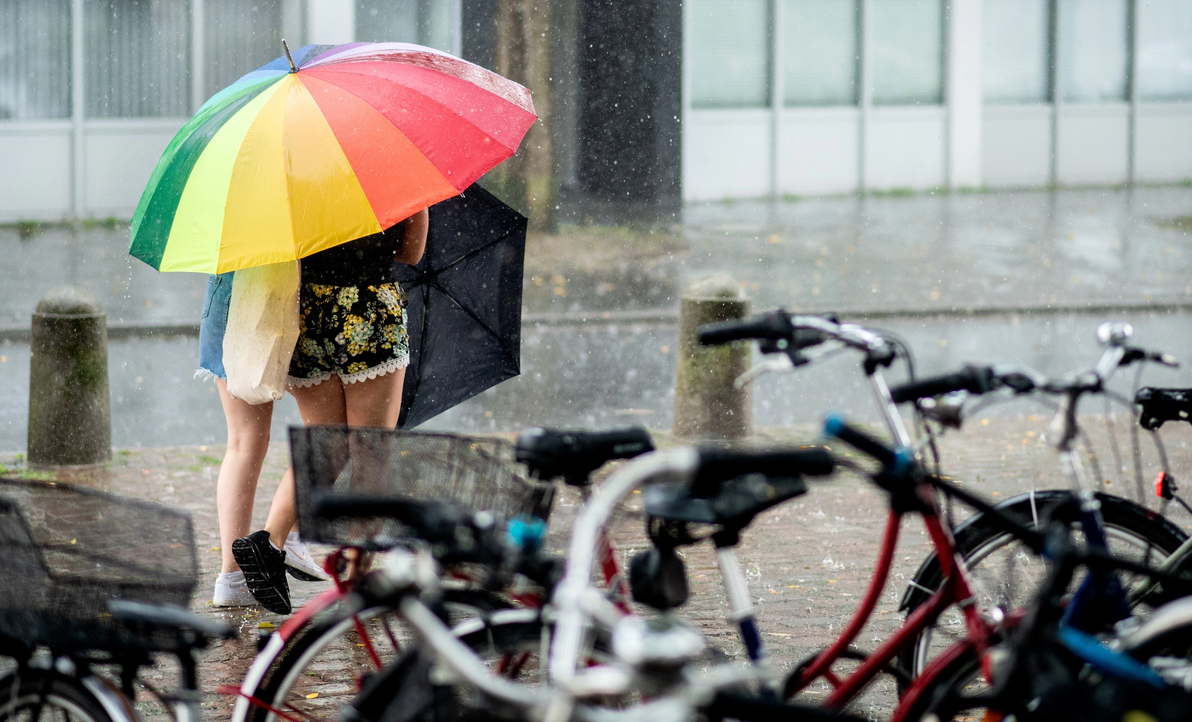 Durch verbreiteten Regen wird es jetzt wieder deutlich kühler.