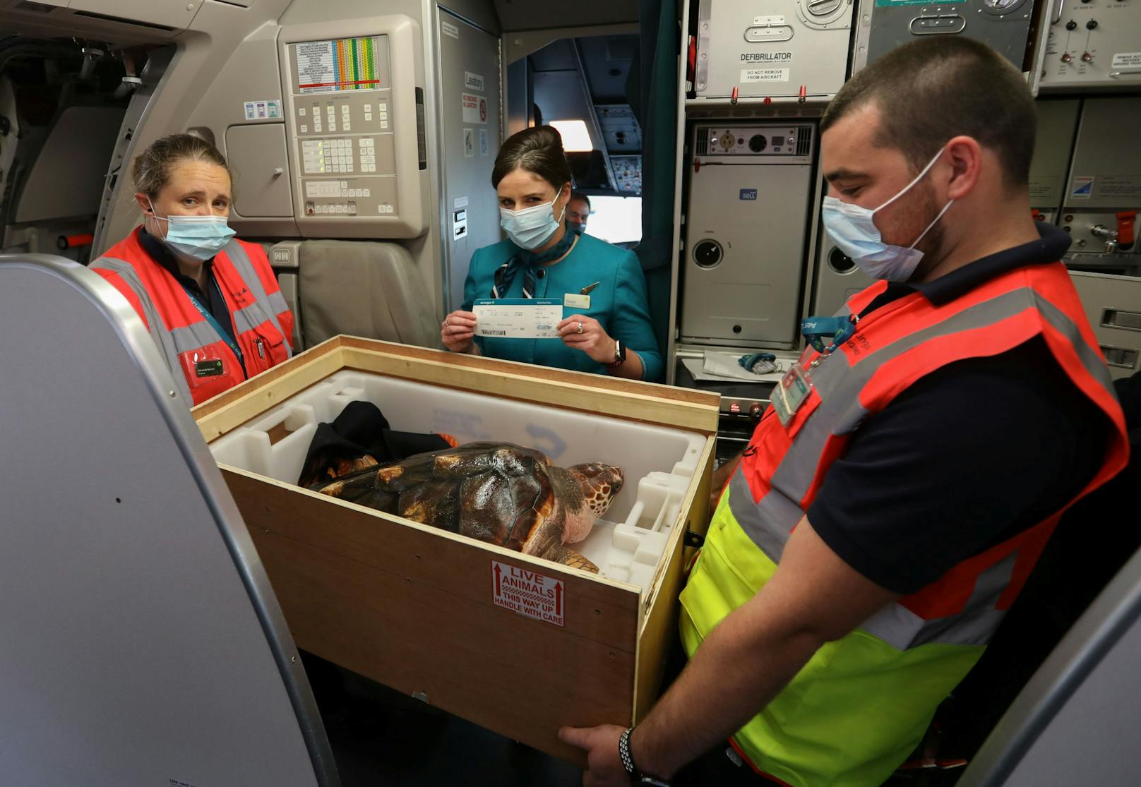 Die Mitarbeiter der Fluggesellschaft "Air Lingus" kümmerten sich während des gesamten Fluges rührend um den ungewöhnlichen Passagier. <br>