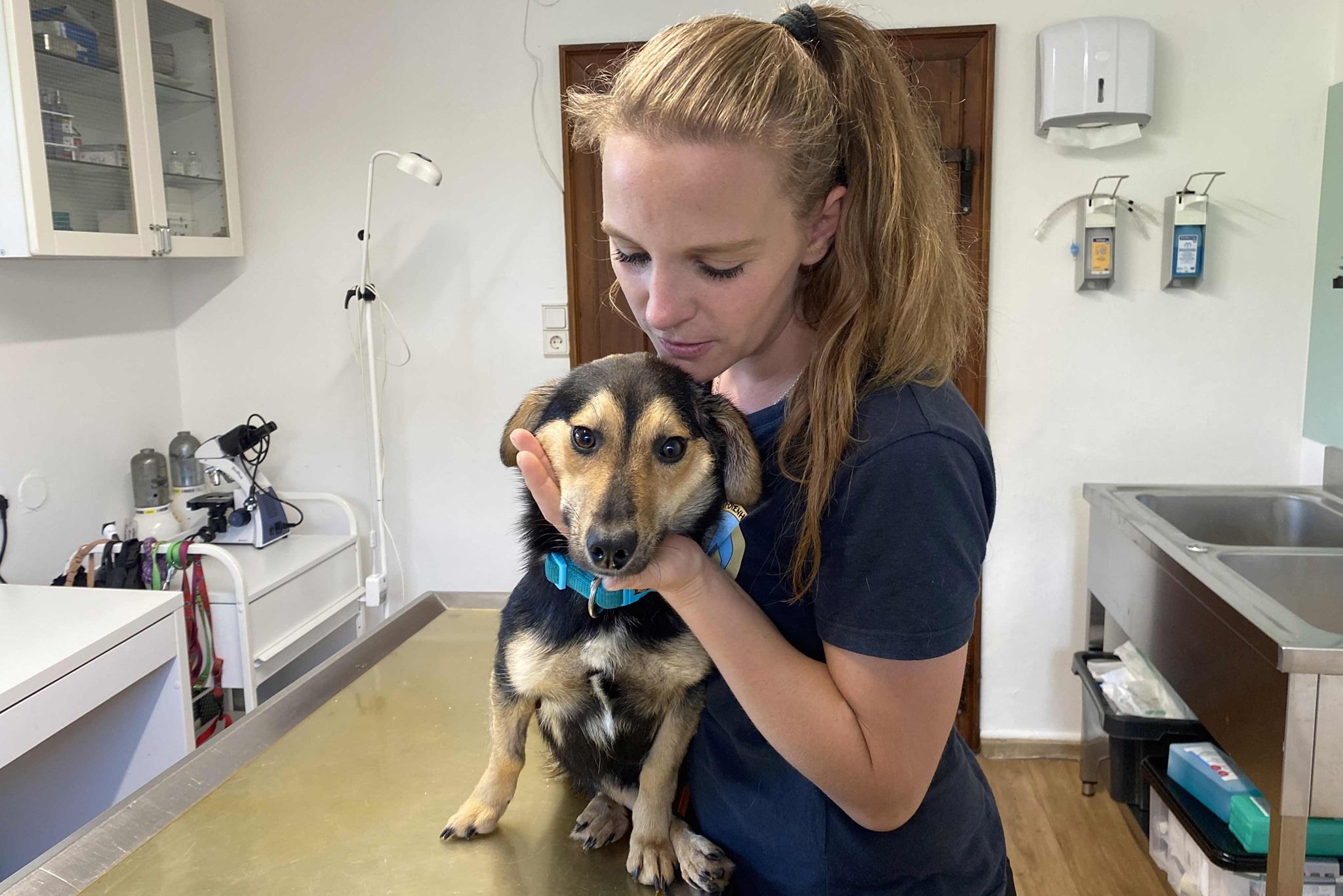 Hund Resi ist gelähmt und benötigt eine Gehhilfe.