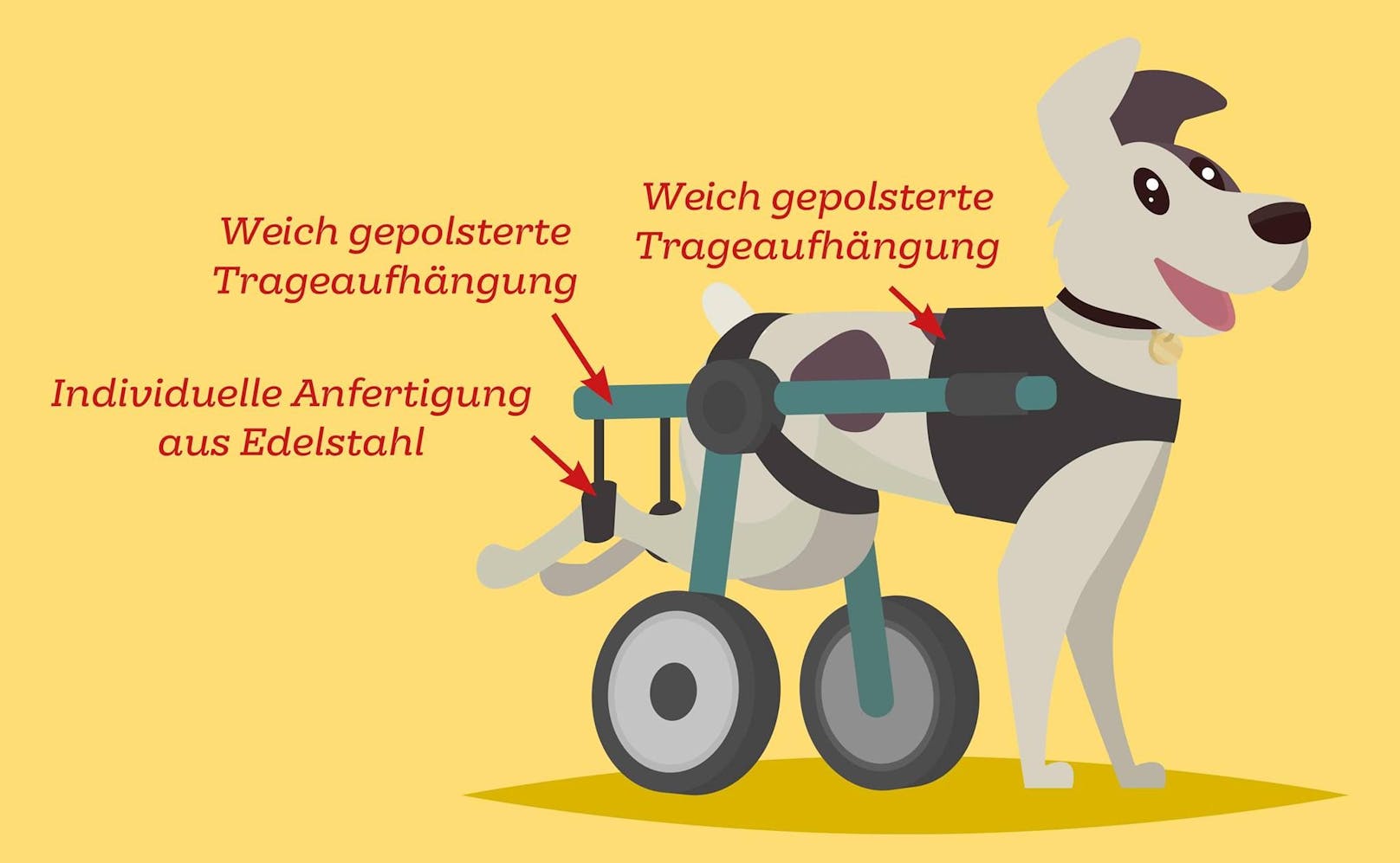 In Wien werden die Gehhilfen für Hunde von einer Frau angefertigt.