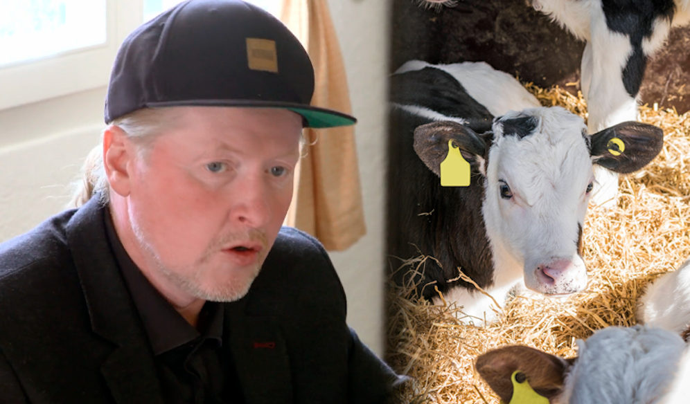 Joey Kelly konnte sich nicht mehr um die Kälber kümmern.