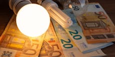 EVN richtet Energiehilfe-Fonds für Niederösterreich ein