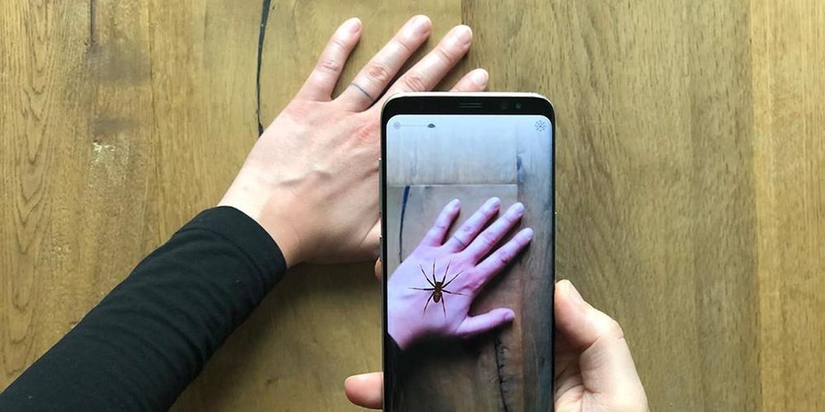 Sie setzt virtuelle Spinnen mit Hilfe der Handy-Kamera in echte Umgebungen hinein.