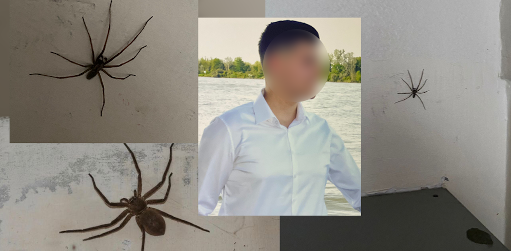 Mit diesen Tierchen sieht sich der Mieter eines Gemeindebaus täglich konfrontiert.