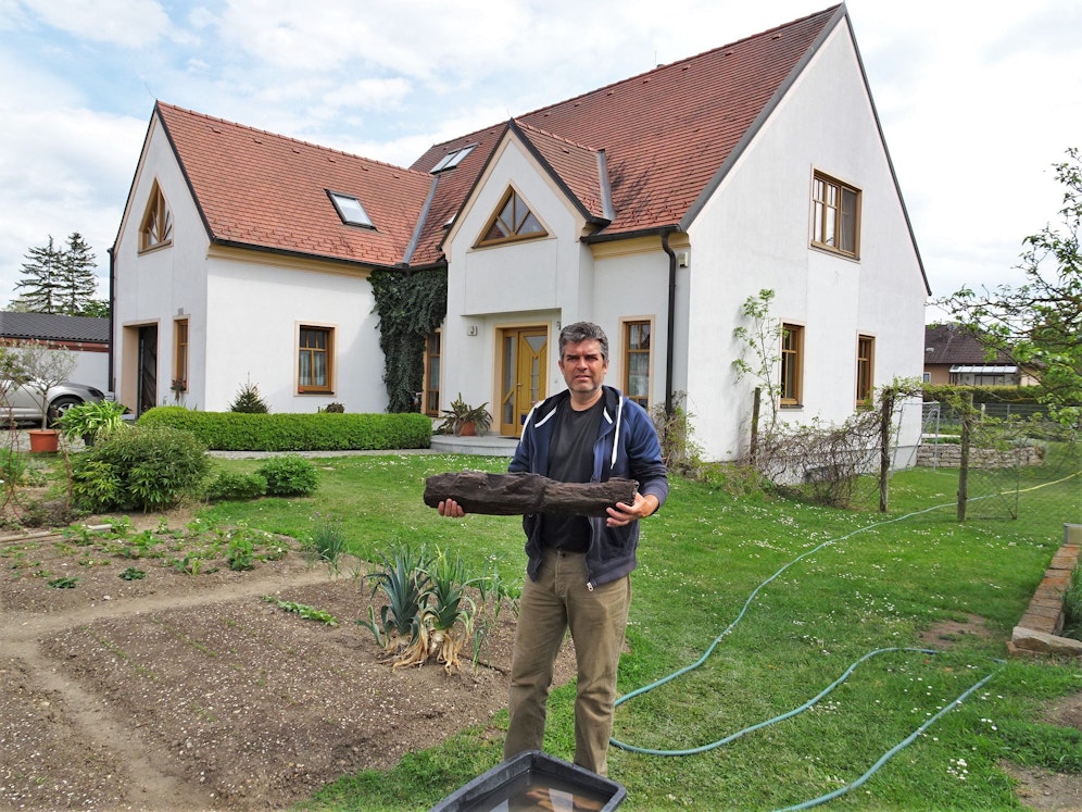 Gerald Patscha aus Aspersdorf (NÖ) fand in seinem Vorgarten beim Graben eines Brunnens 1.000 Jahre alte Holzstücke eines mittelalterlichen Brunnenschachtes. 