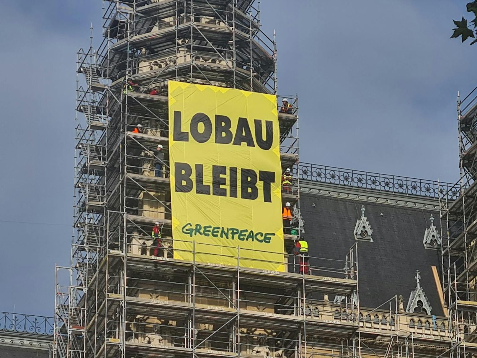 Aktivisten der Umweltschutzorganisation Greenpeace besetzen seit heute Morgen das Wiener Rathaus, um gegen das Straßenprojekt Lobau-Autobahn zu protestieren.