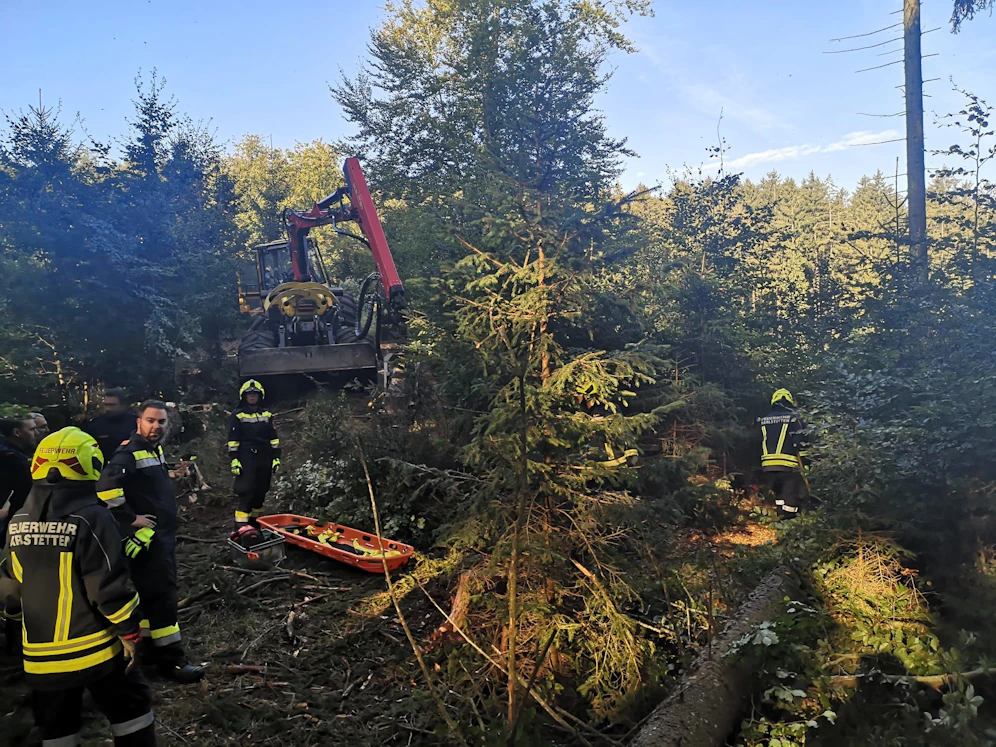 Der Mann wurde vom Baum an den Füßen getroffen.