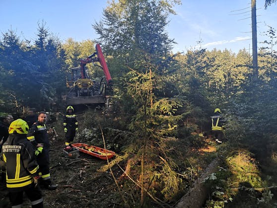 Der Mann wurde vom Baum an den Füßen getroffen.