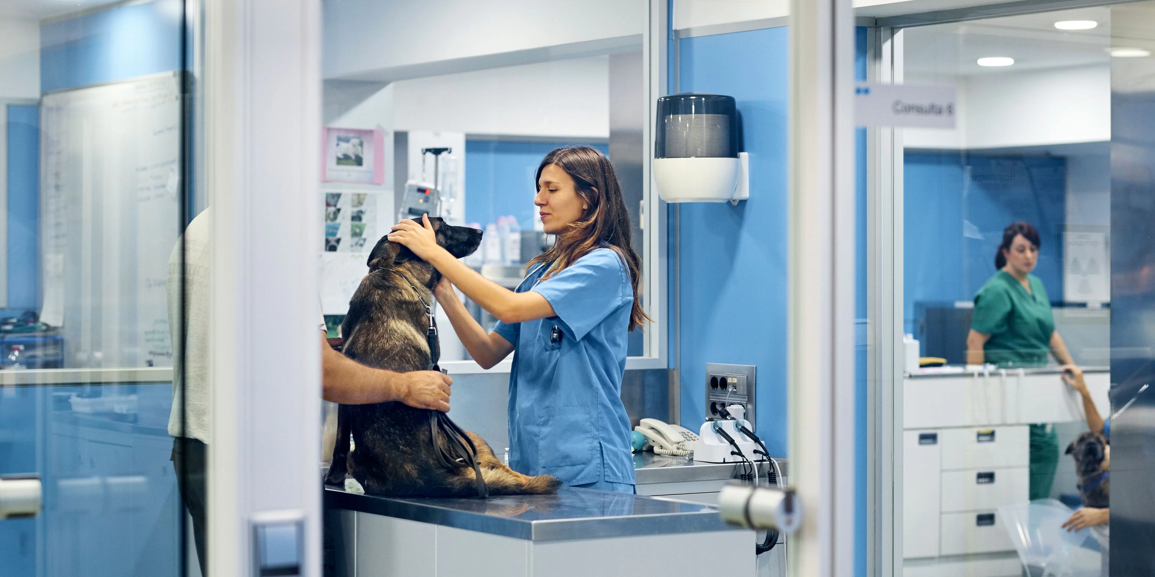 Blick in eine Tierklinik (Symbolfoto)