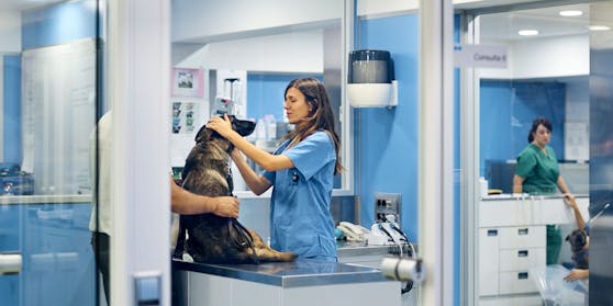 Blick in eine Tierklinik (Symbolfoto)