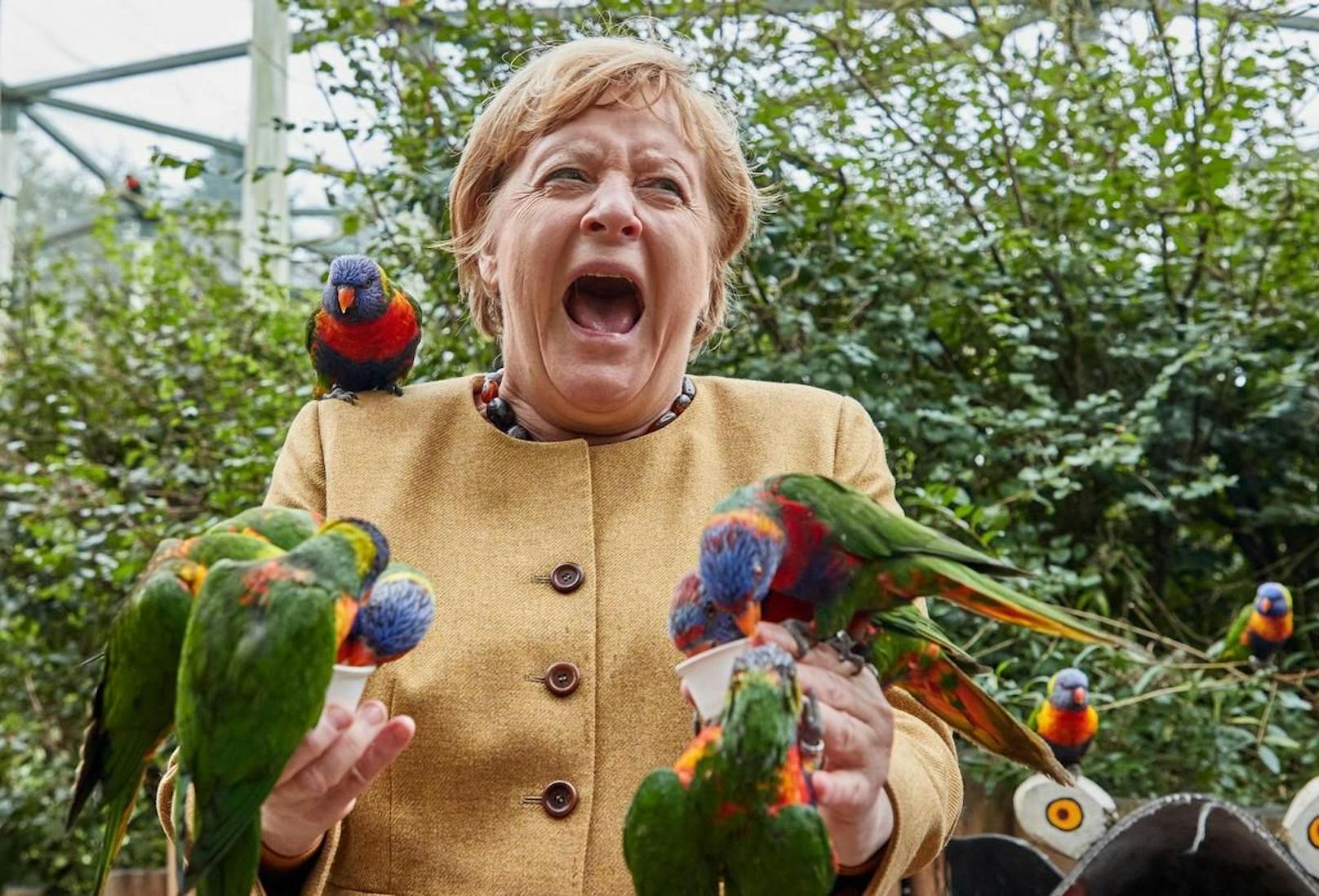 Die Zuneigung überschritt kurz Grenzen. Ein Papagei biss Merkel in die Hand.