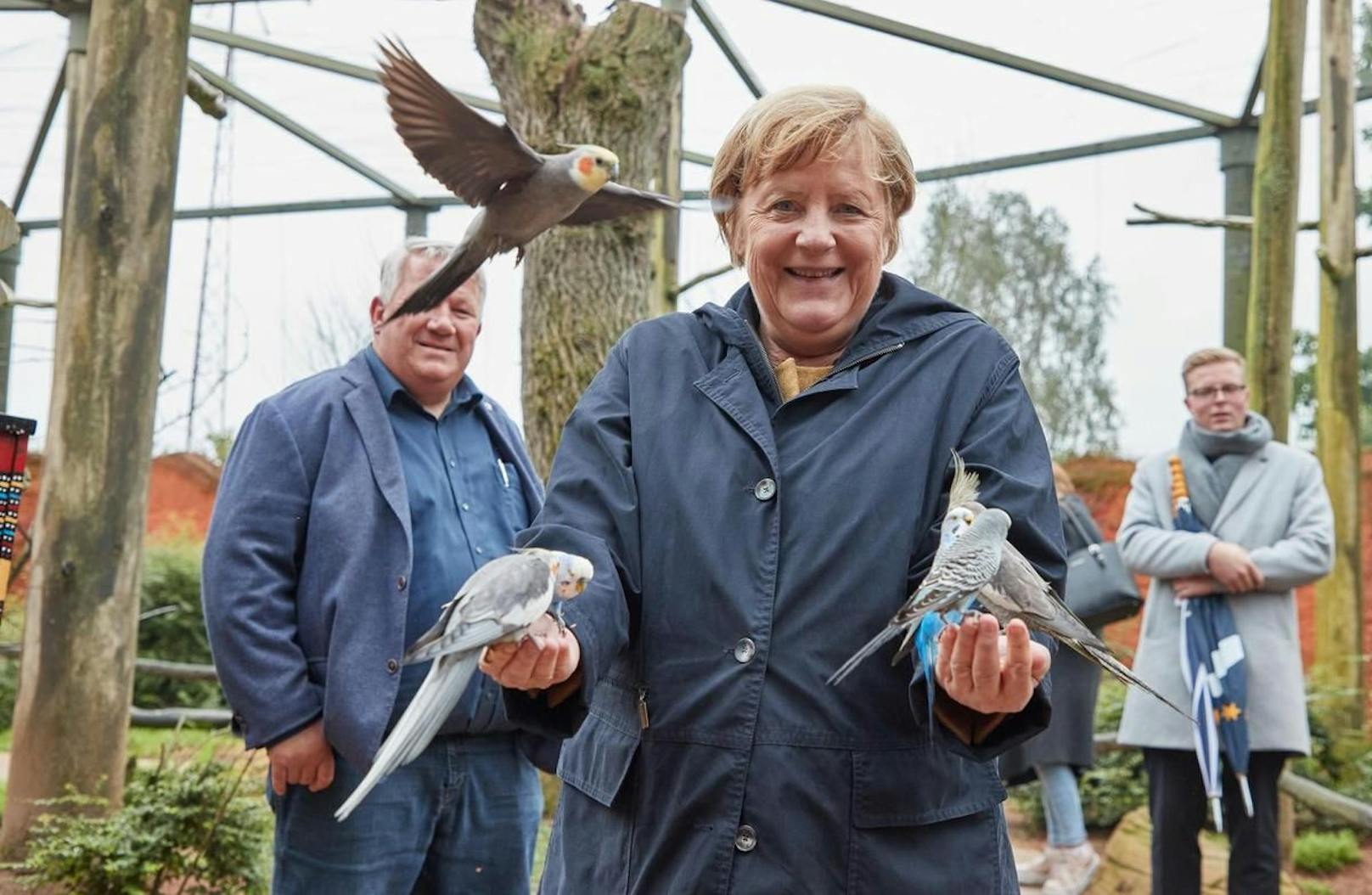 Auch die Wellensittiche hatten keine Berührungsängste.