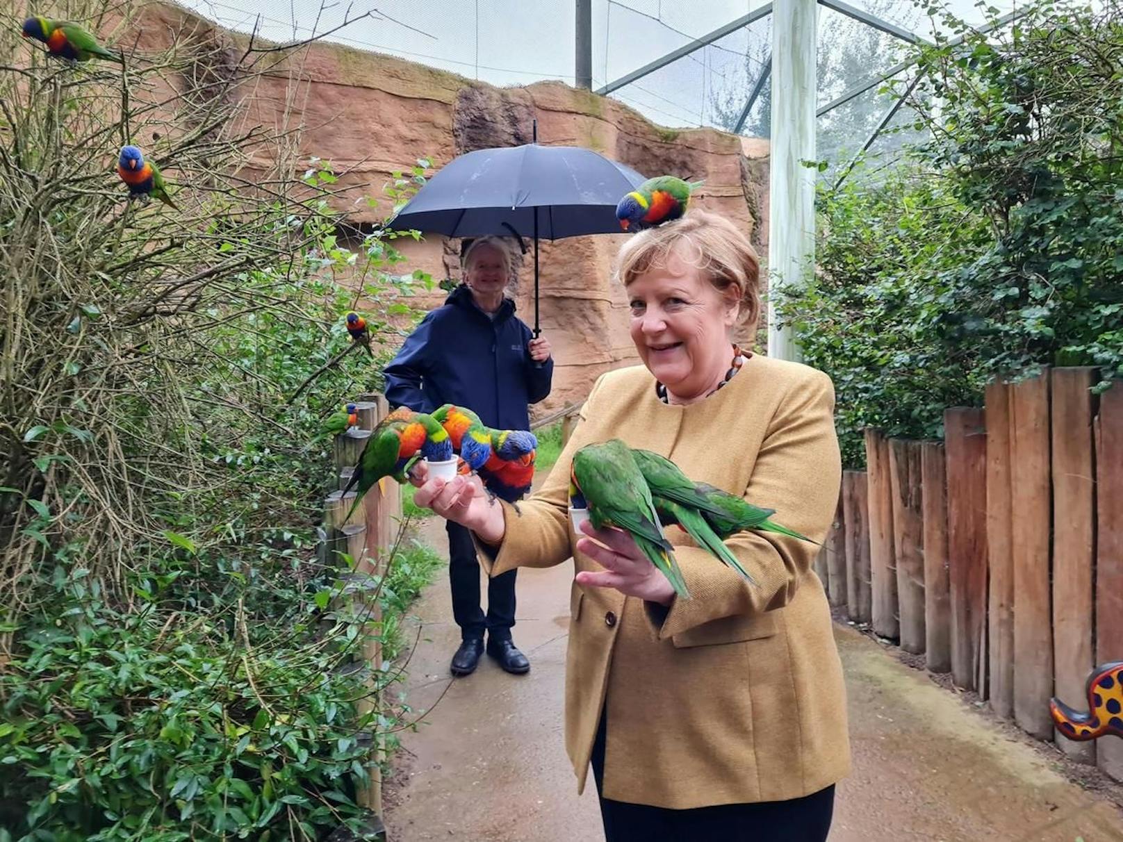 Dabei stand auch ein Besuch im Vogelpark in Marlow in Mecklenburg-Vorpommern auf dem Programm.&nbsp;