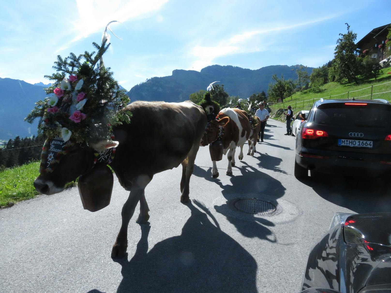 ... in Tirol in eine Menschenmenge bei einem Almabtrieb.