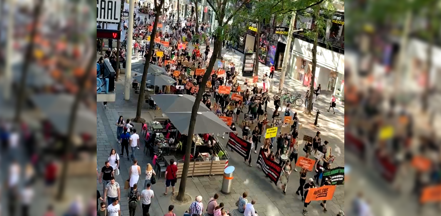 Am Samstag marschierten Tierschützer durch Wien. 