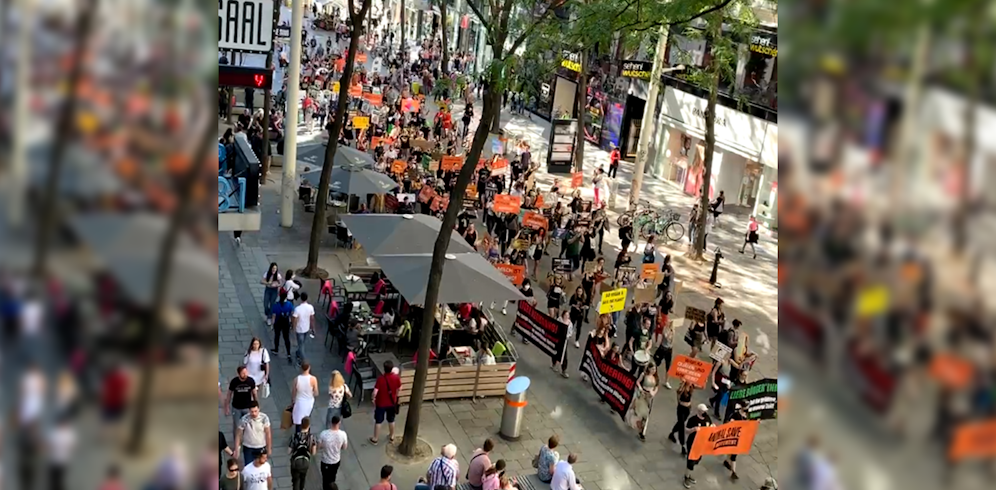 Am Samstag marschierten Tierschützer durch Wien. 