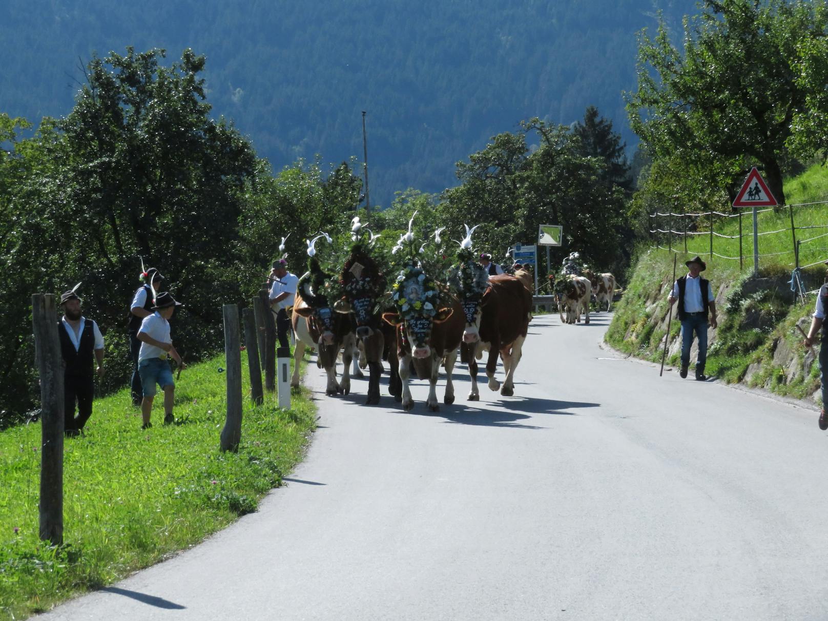Der Abtrieb fand in der Tiroler Gemeinde Hippach statt.&nbsp;