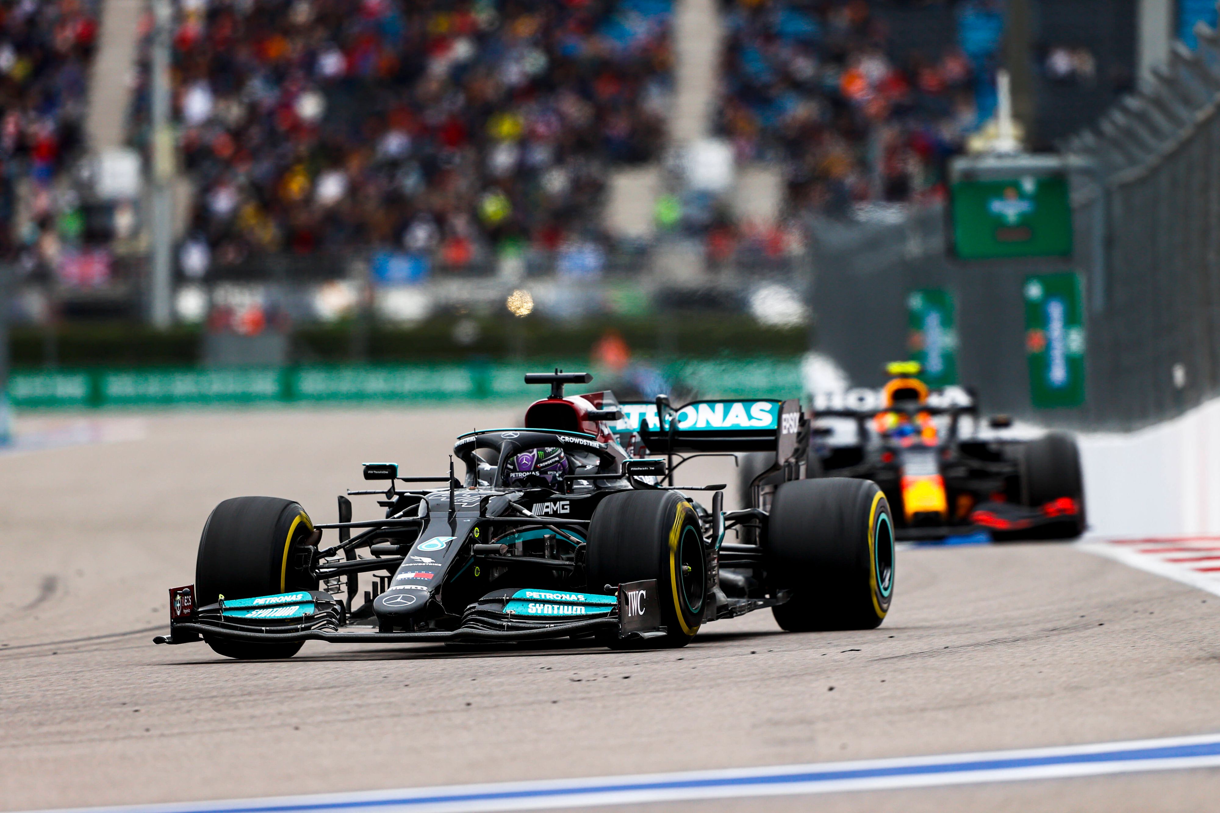 Lewis Hamilton siegt in Sotschi