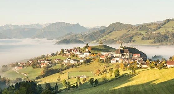 In Maria Neustift holten die Impf-Rebellen von MFG exakt 19,43 Prozent. Ein Rekordwert in OÖ.
