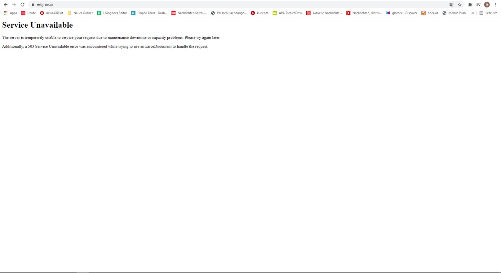 Das Wahlergebnis brachte der MFG auch einen Absturz ihrer Internetseite.&nbsp;