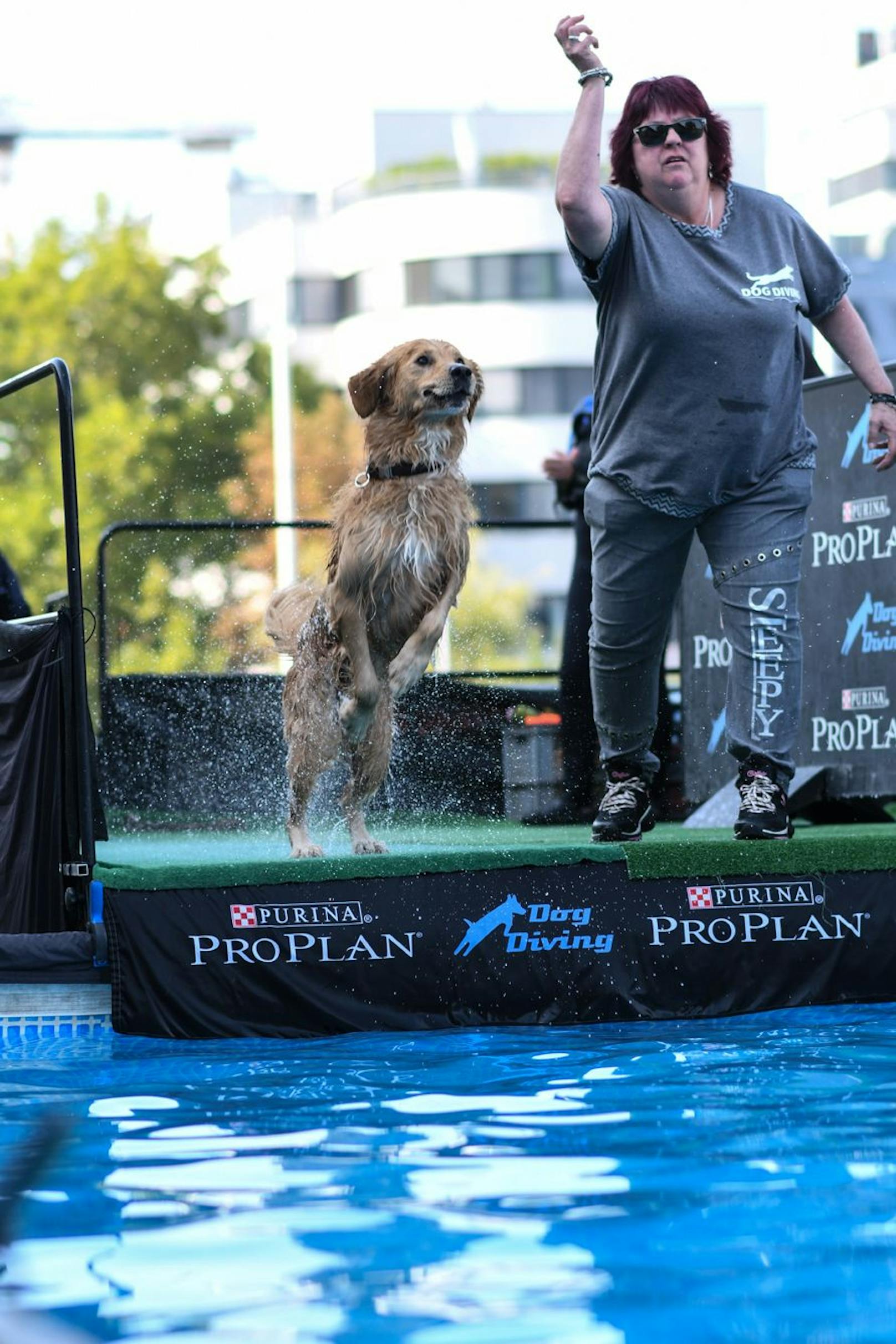 Dieser Sport eignet sich für alle Hunderassen, die gerne nass werden. 