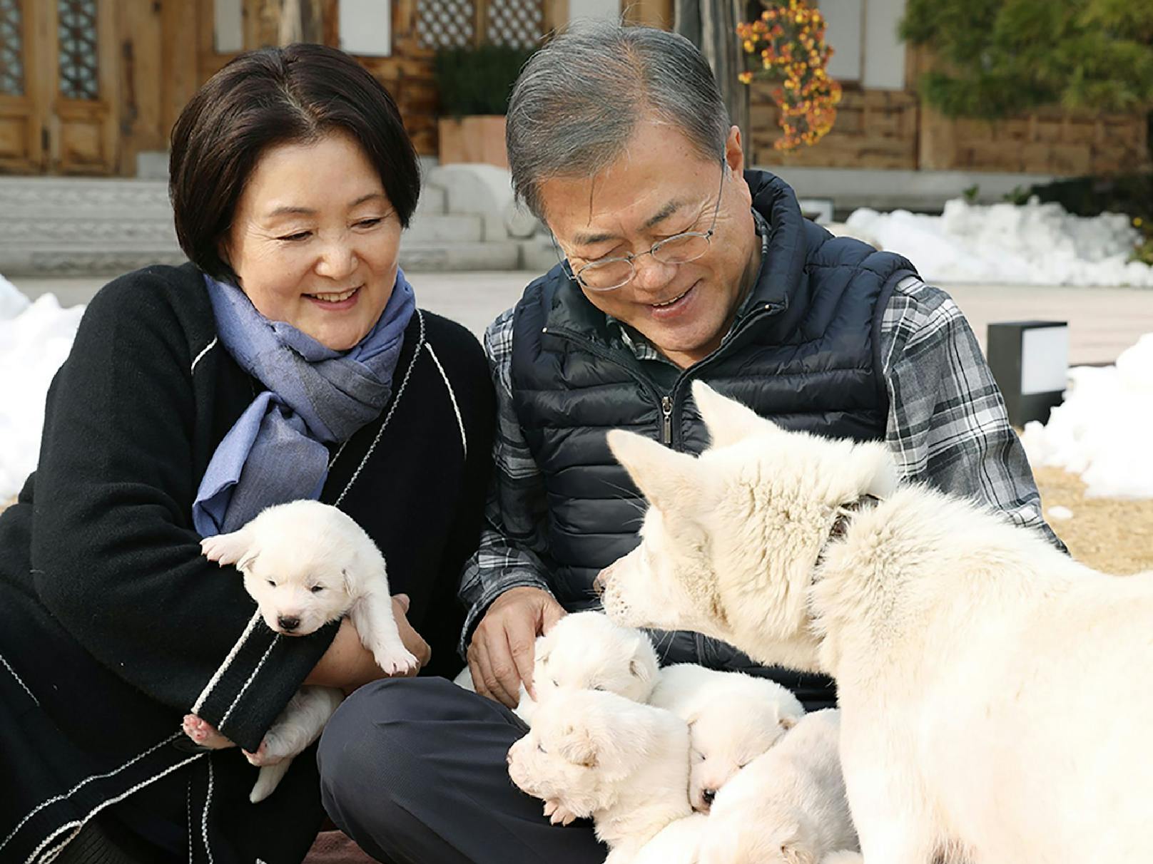 Südkoreas Präsident Moon Jae-a und seine Frau bekamen sechs Pungsan-Welpen von Nordkoreas Diktator Kim Jong Un geschenkt.