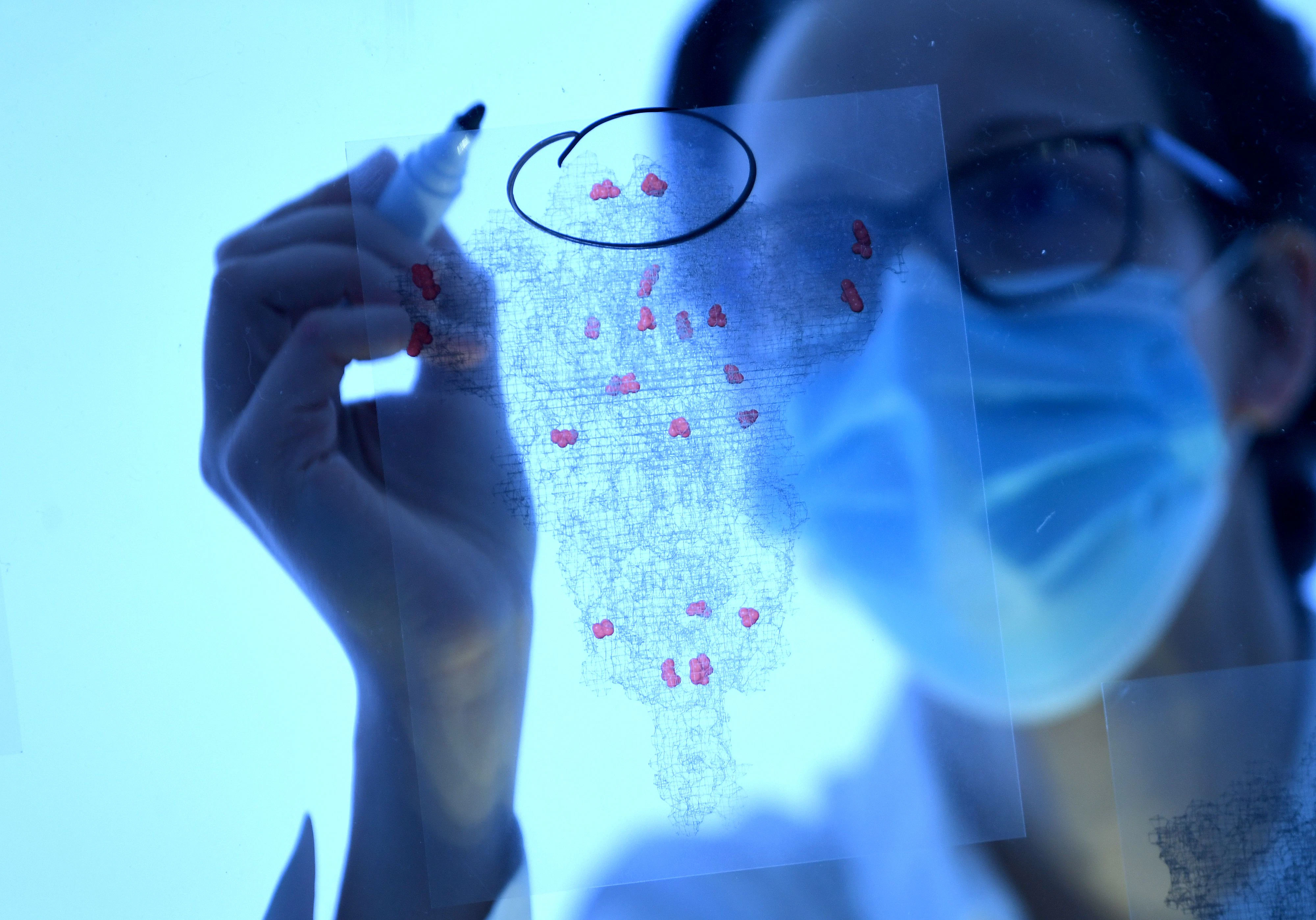 Das Vertrauen in die Wissenschaft ist Voraussetzung für Impfbereitschaft und Einhaltung der Corona-Maßnahmen.