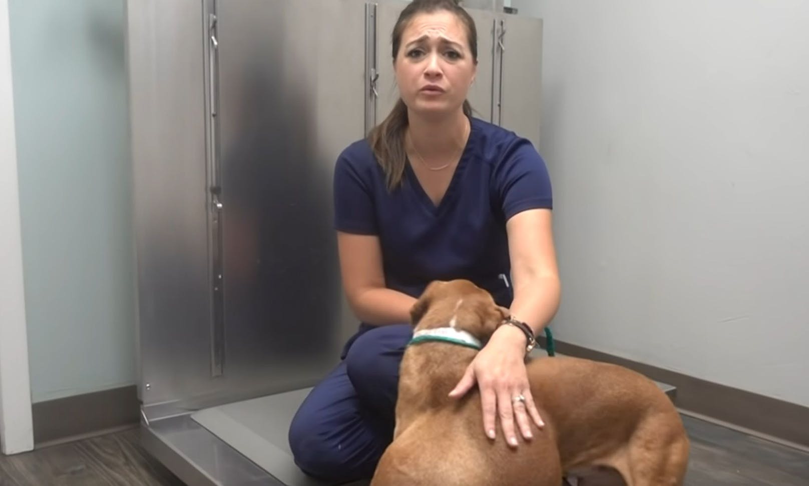 Als Tierärztin Dr. Karri die Hündin "Hattie" das erste Mal sieht, bricht sie in Tränen aus. <br>