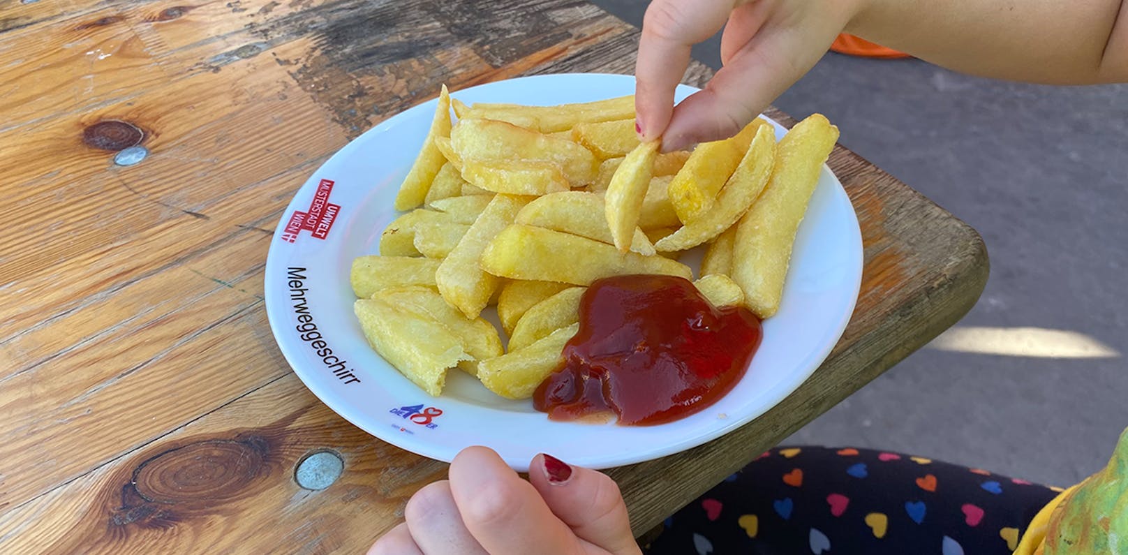 Für diese Pommes-Portion wurden 4,50 € verlangt (Kinderhand zum Größenvergleich).