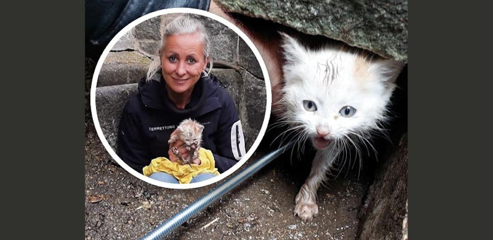 Die Tierrettung (l. Daniela Bachmaier) konnte das Kätzchen schließlich befreien.