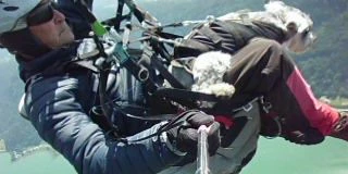 Hündin "Kyra" begleitet Paragleiter Kurt Wetzlinger auf jedem Flug.