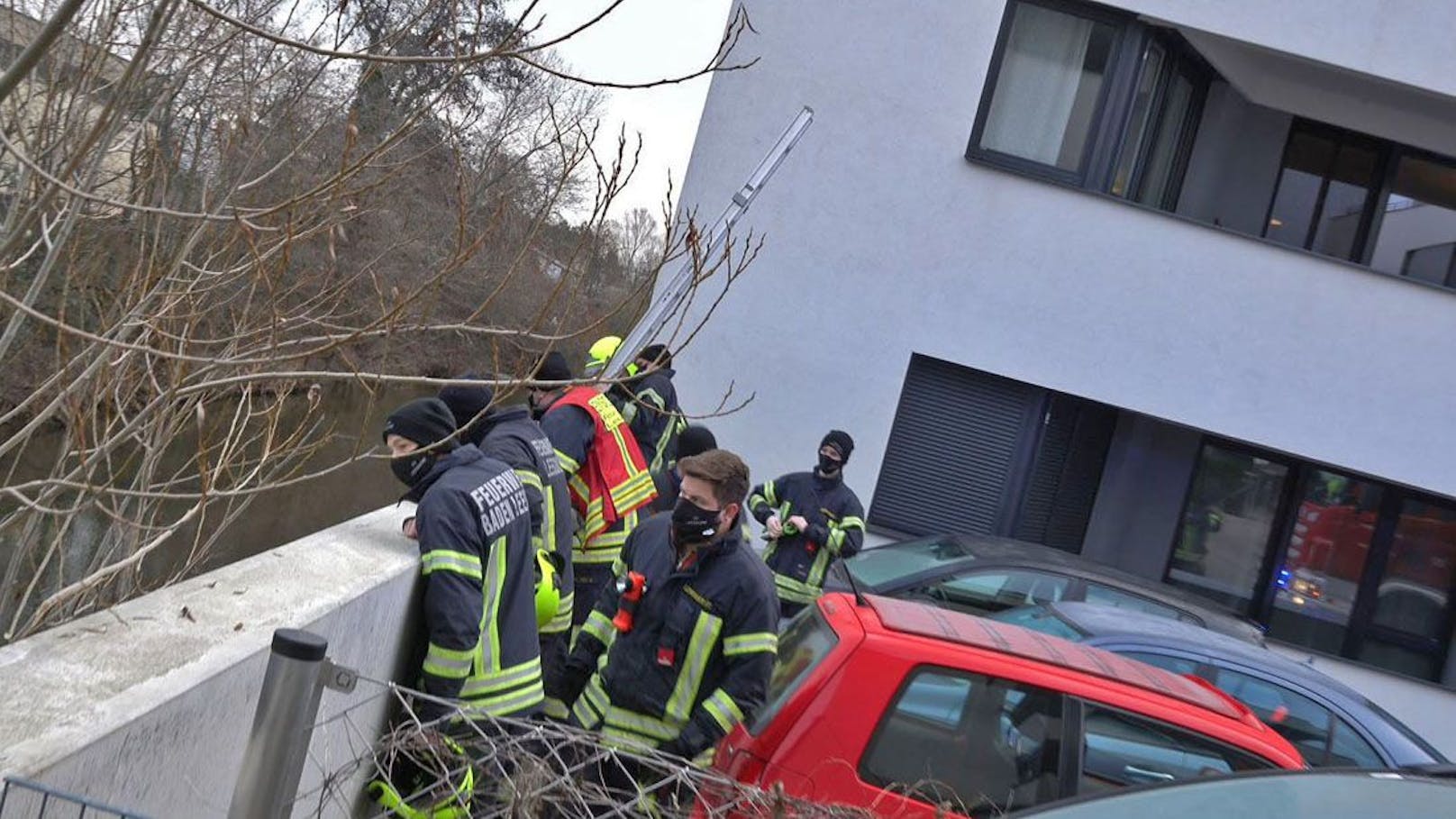Kater stürzte in Bachbett - von der Feuerwehr gerettet