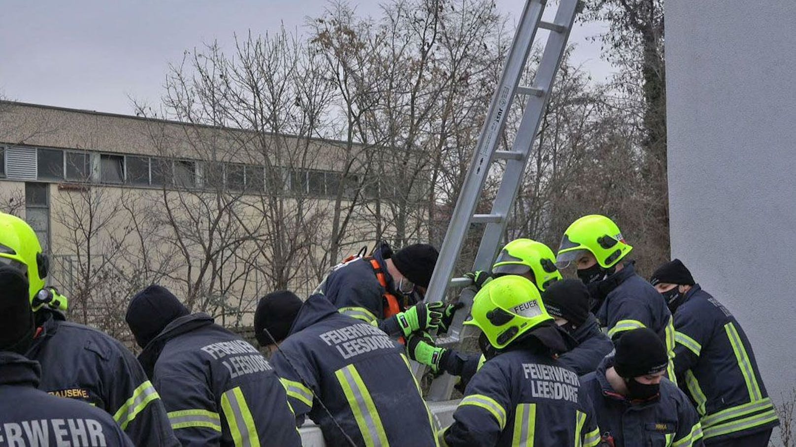 Kater stürzte in Bachbett - von der Feuerwehr gerettet