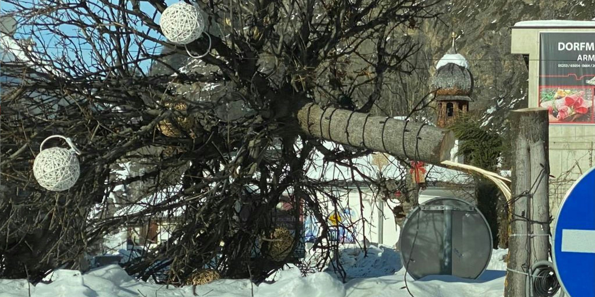 Einer der umgeknickten Bäume