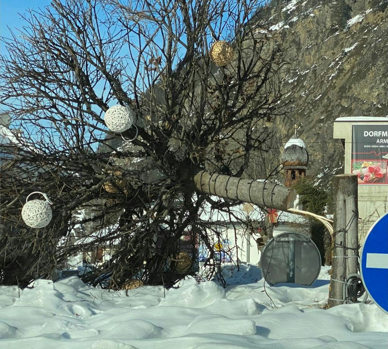 Heute.at - Kurioser Vandalenakt – Unbekannter sägt Bäume um
