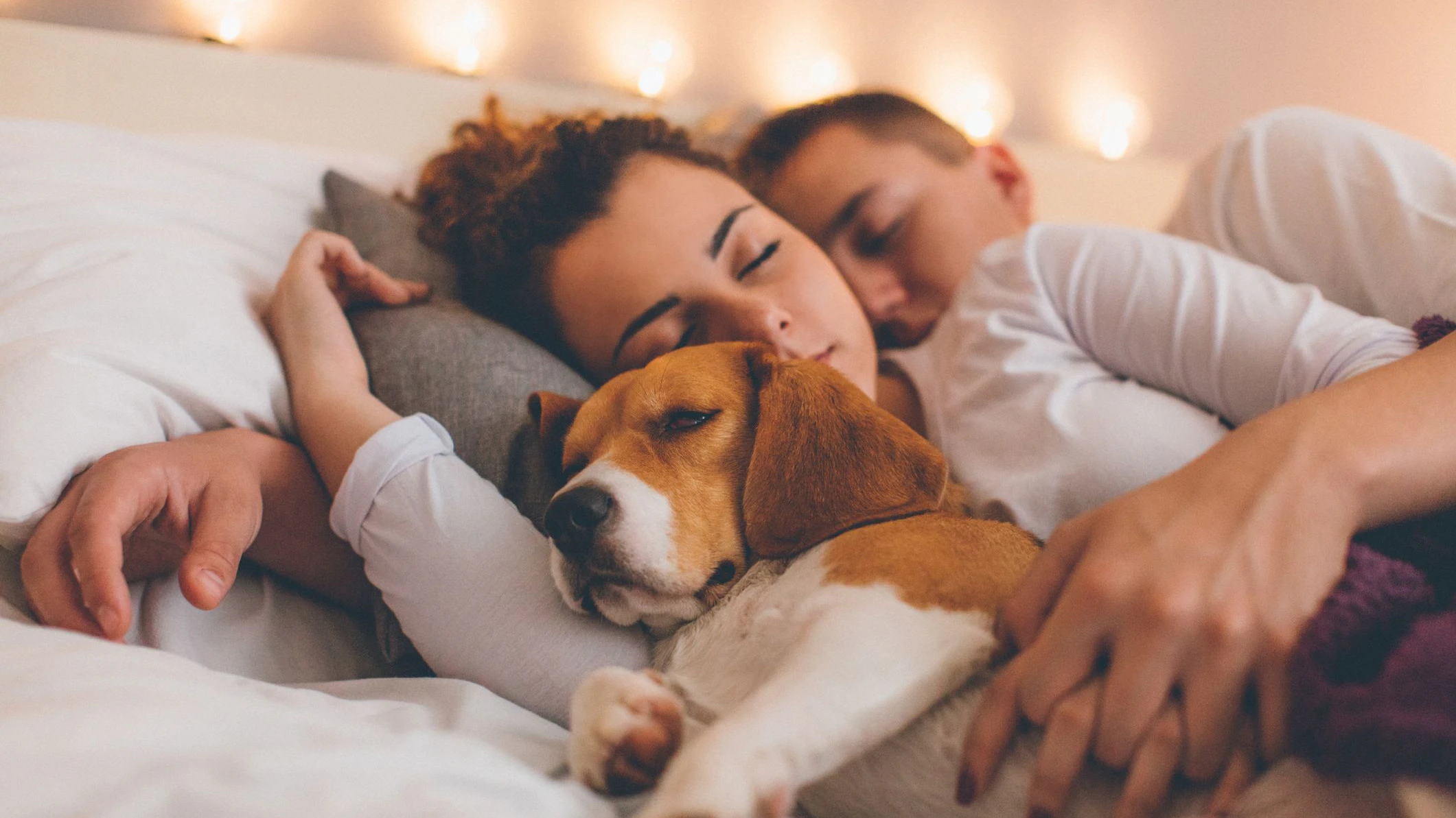 Heute.at - Keim & Co.: Wie gefährlich ist der Hund im Bett?