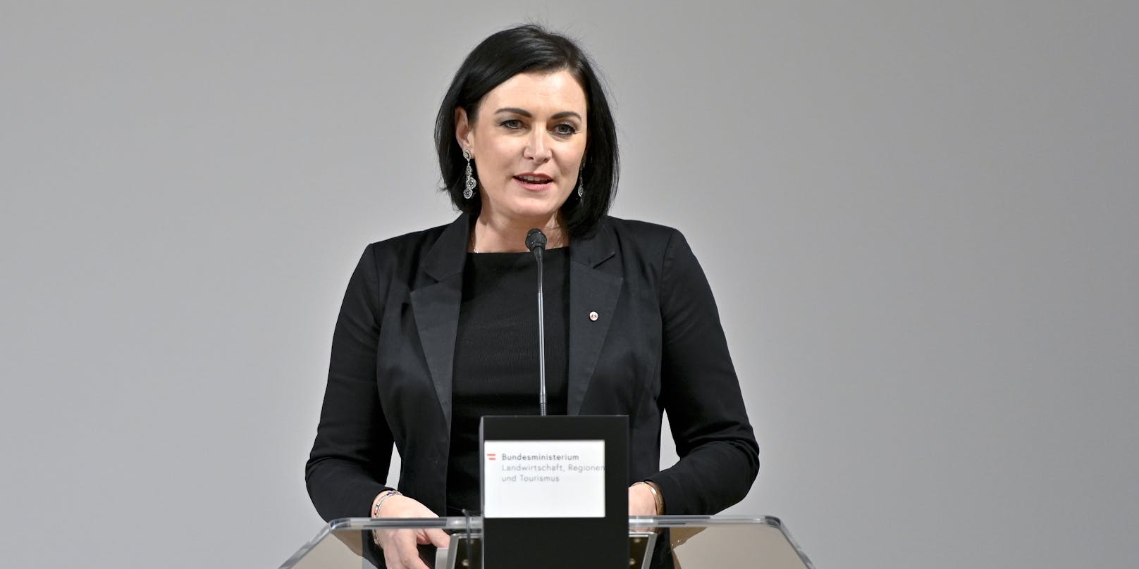 Elisabeth Köstinger (ÖVP): Bundesministerin für Landwirtschaft, Regionen und Tourismus, das Postwesen, Telekommunikation und den Zivildienst