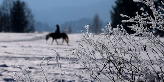 Das Mädchen wurde von ihrem Pferd geworfen.