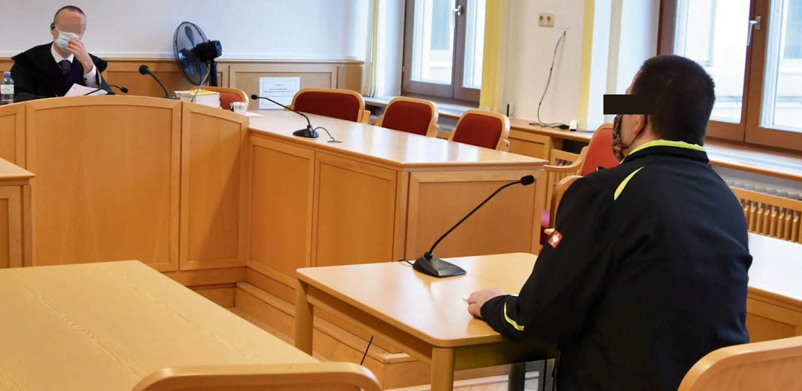 Der 45-jährige Linzer musste sich Montagnachmittag am Landesgericht Linz verantworten.