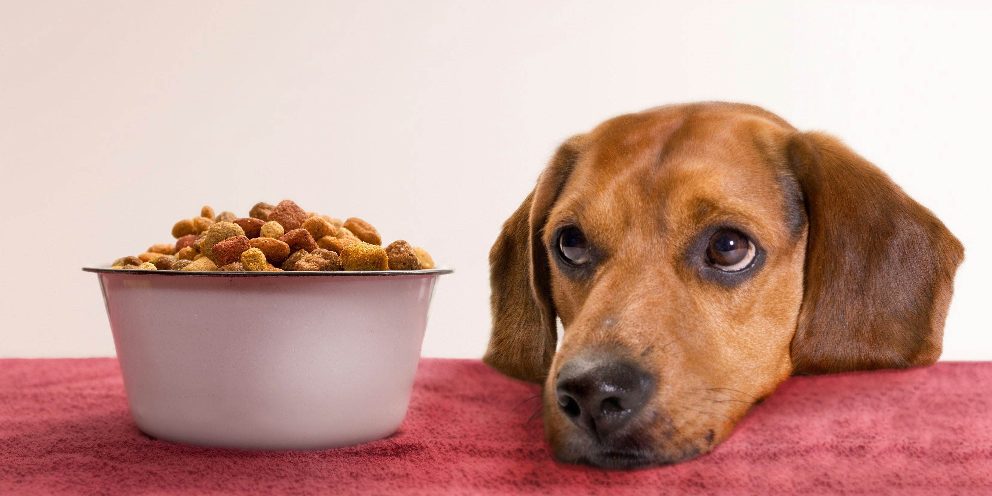 Bereits 80 Hunde sollen durch Sportmix-Sorten des Herstellers Midwestern Pet Food gestorben sein.