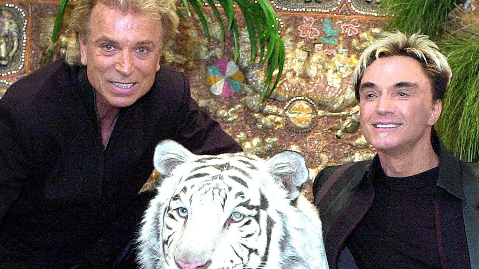 Als schillerndes Magier-Duo "Siegfried &amp; Roy" schrieben <strong>Siegfried Fischbacher</strong> und <strong>Roy Horn</strong> Showgeschichte. Immer dabei: Ihre geliebten weißen Tiger.