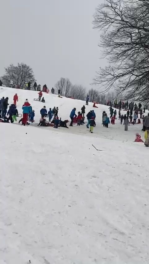 Rodel-Chaos in Gießhübl (NÖ) bei Wien