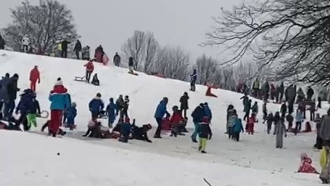 Rodel-Chaos in Gießhübl (NÖ) bei Wien