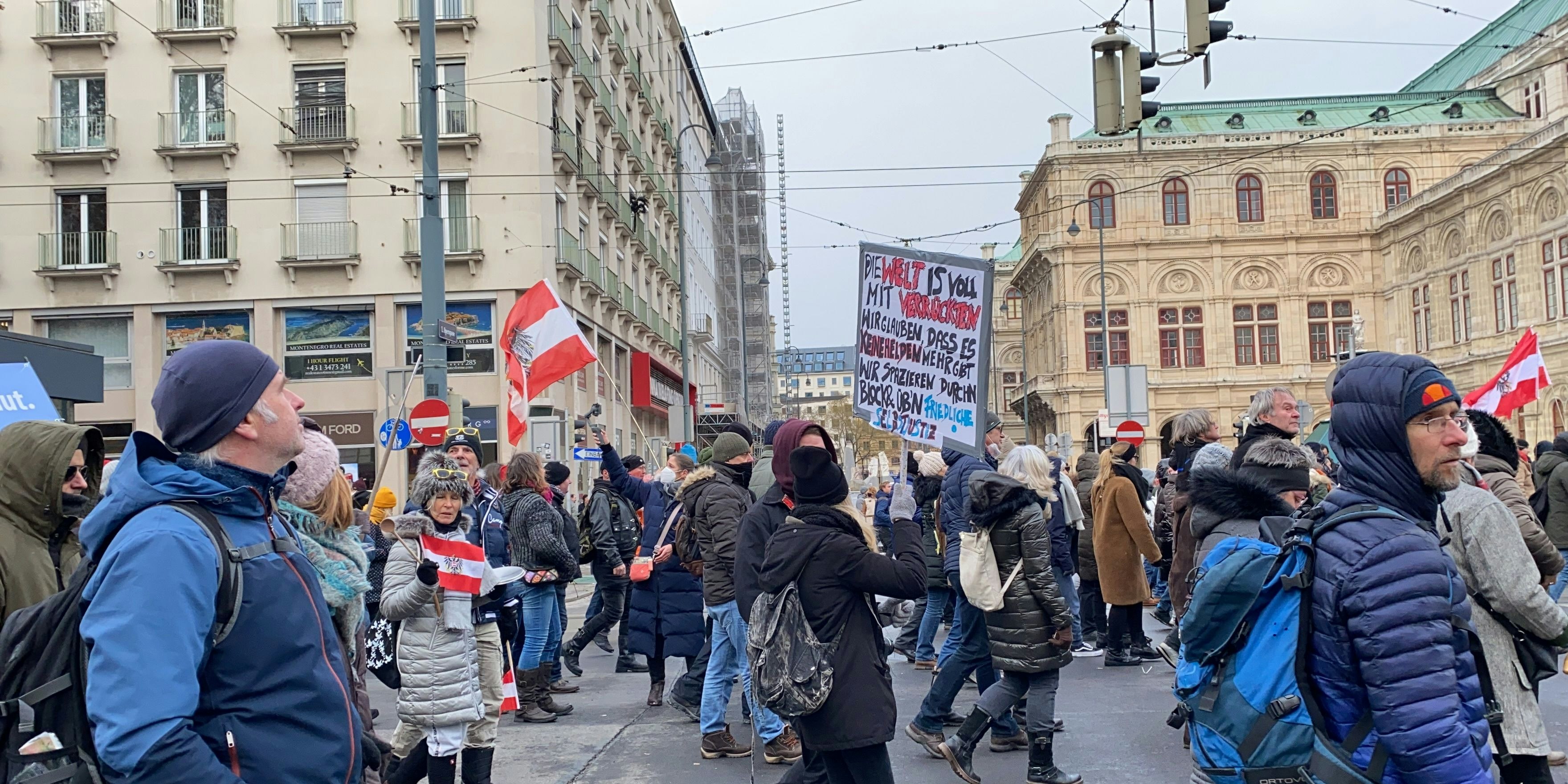 Anti-Corona-Demo Wien