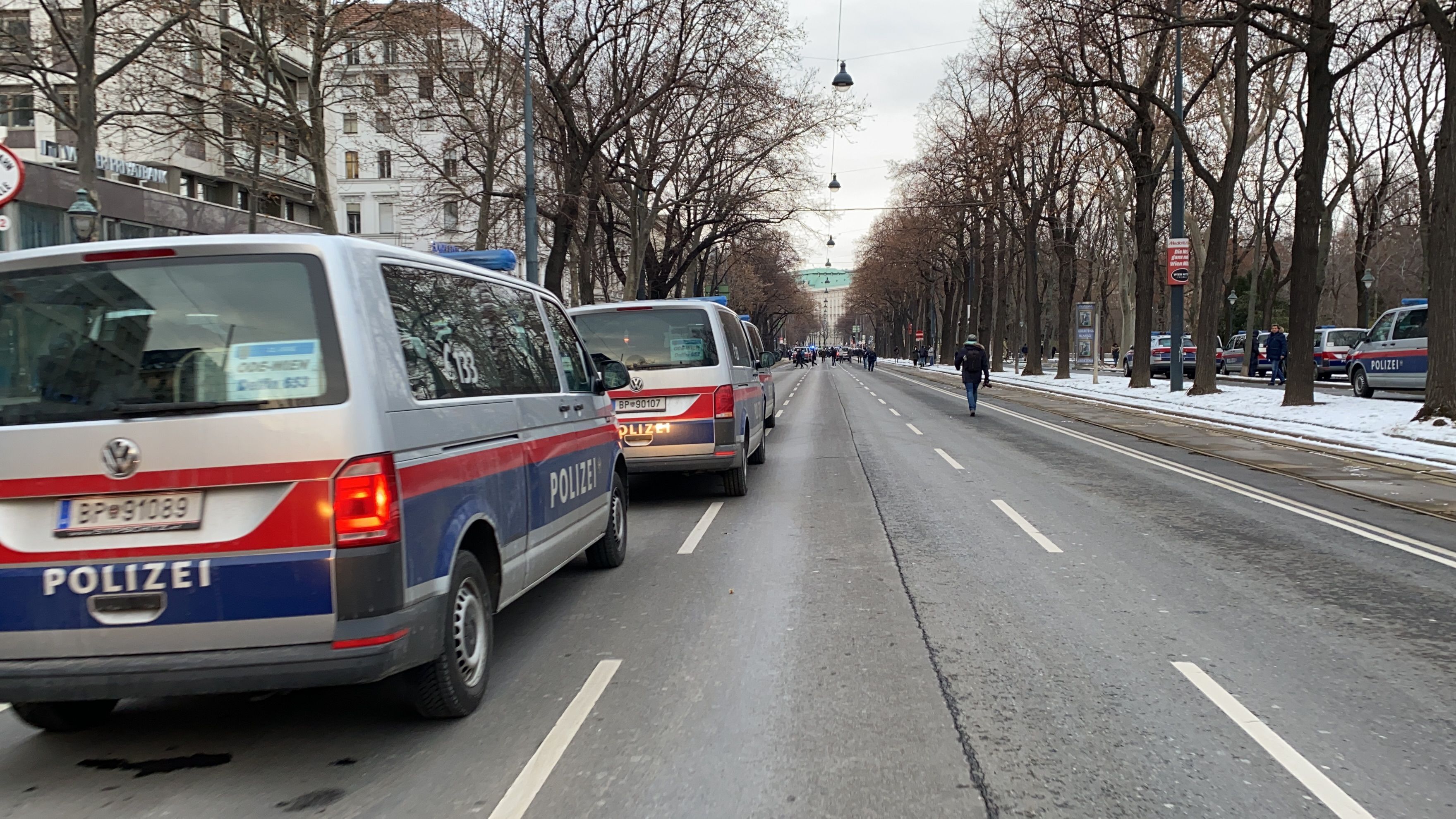 Anti-Corona-Demo Wien