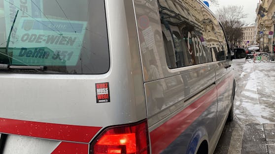 Erneut kam es Wien zu einer "Freiheits"-Demo. Dieses Mal in deutlich kleinerem Rahmen. Symbolbild.