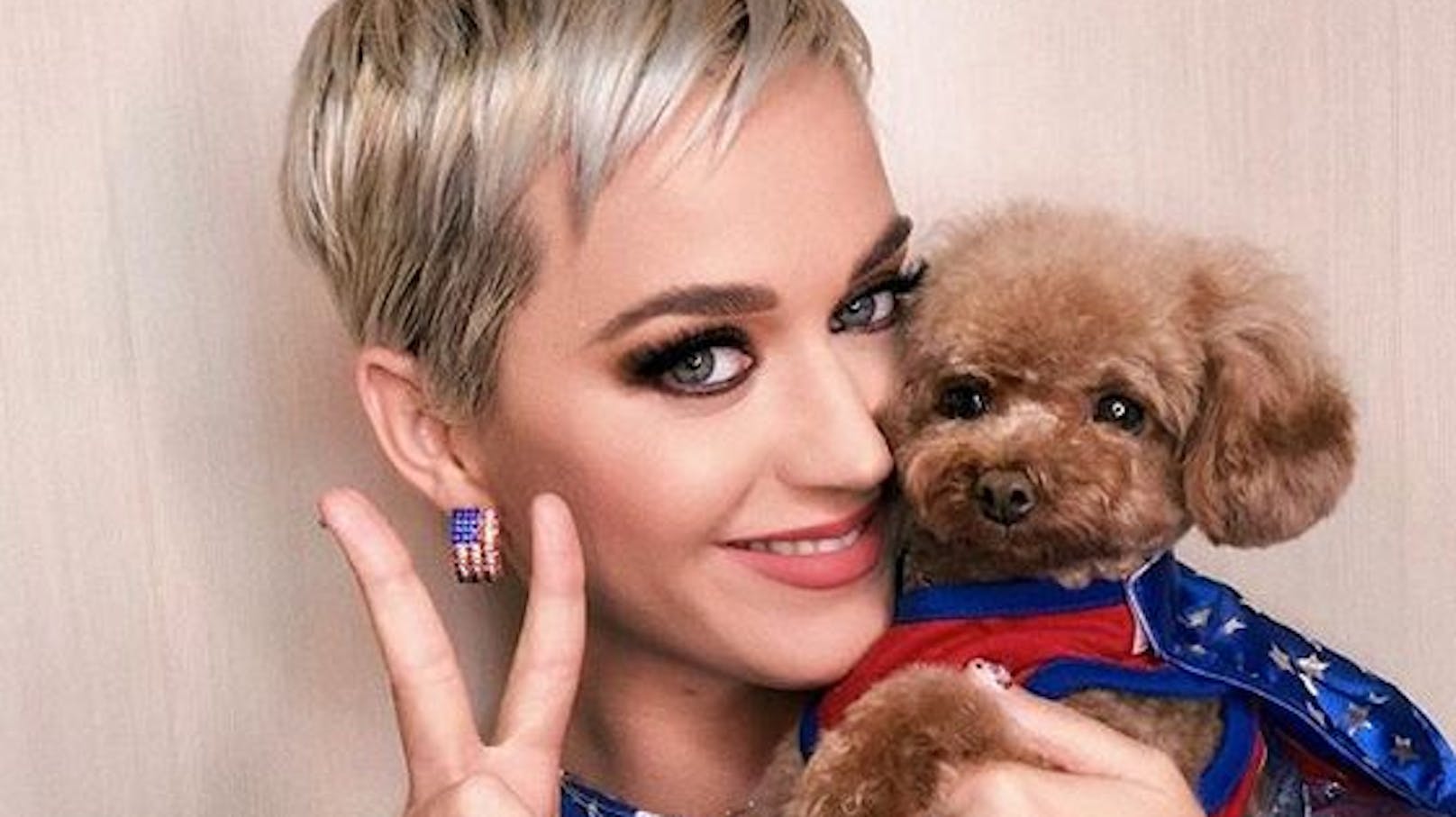 Popstar Katy Perry mit Hund Nugget