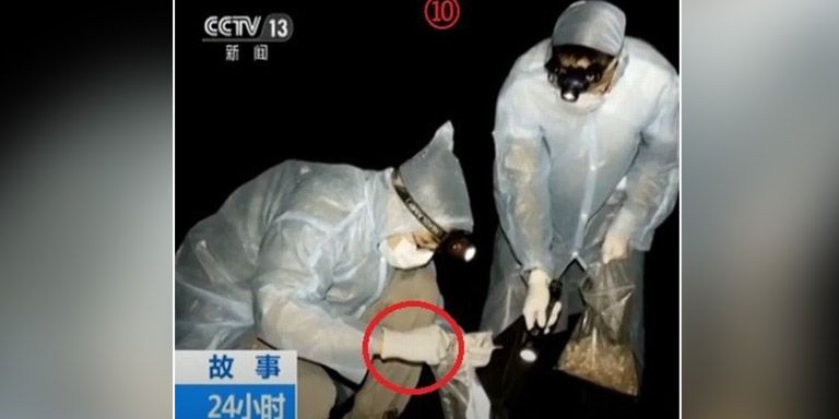 Ein Wissenschafter wird von einer Fledermaus gebissen.